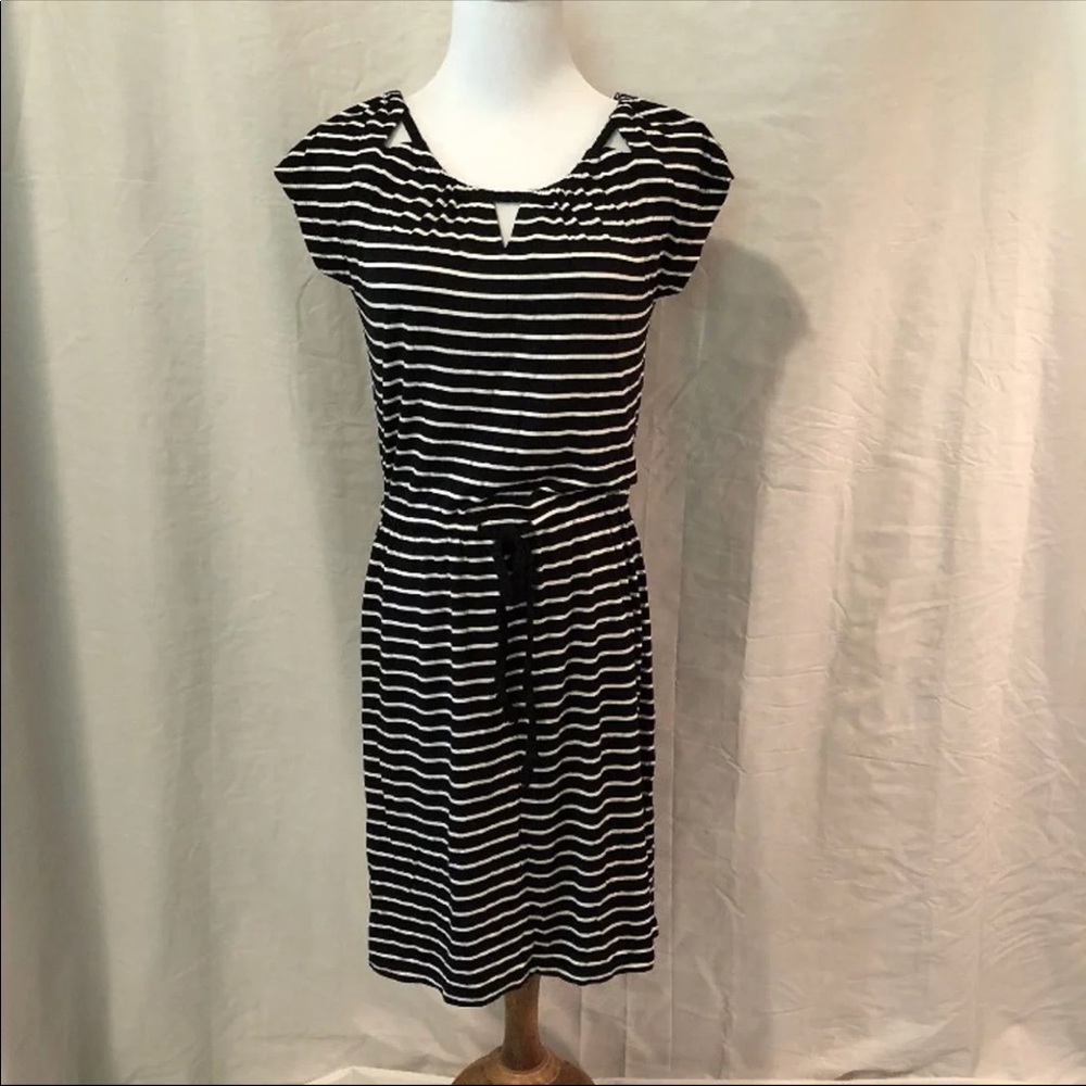 ann taylorLoft  dress